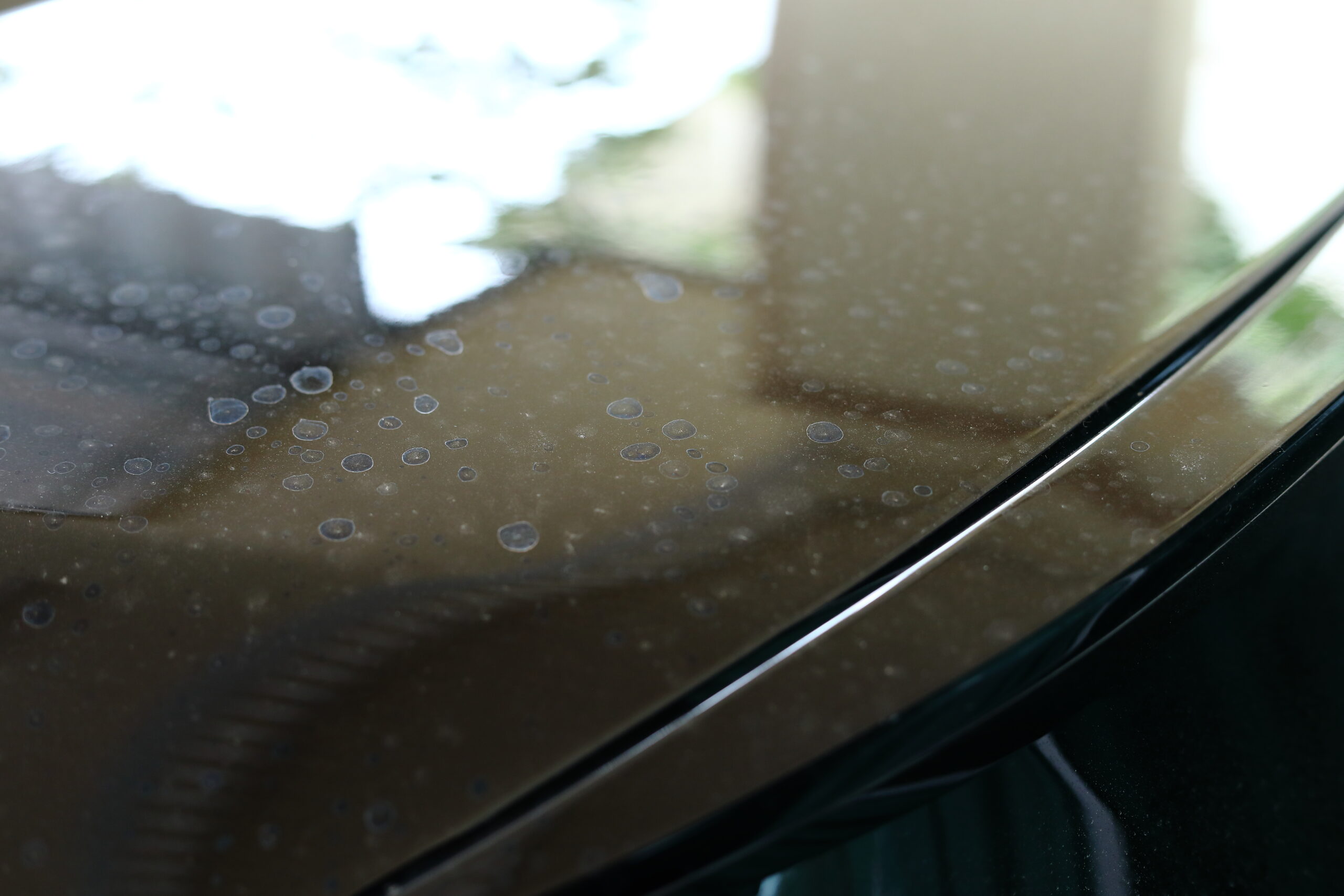 dirty black car with water stained dry